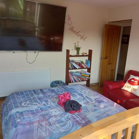 Appartement No 9 Manor Way à Carmarthen Extérieur photo
