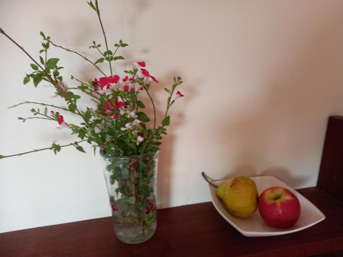 Appartement No 9 Manor Way à Carmarthen Extérieur photo